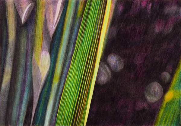 Mississippi Leaf 1