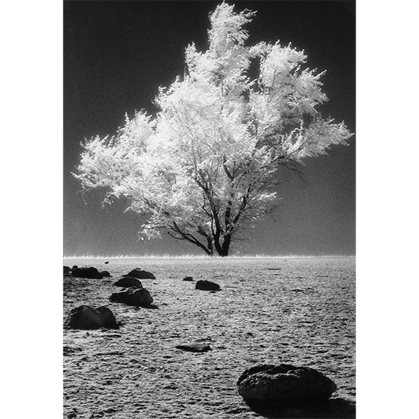 Utah Nebraska 2 89