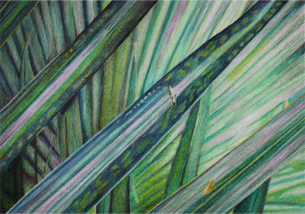 Mississippi Leaf 3