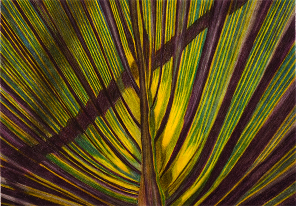 Mississippi Leaf 4