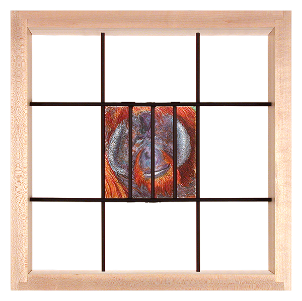 Orangutan 810421 07