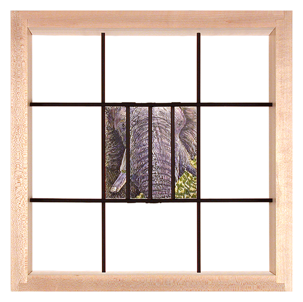 Elephant 642810 07