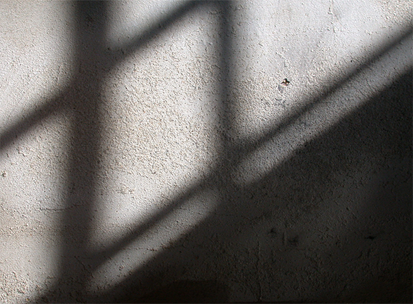 Shadow On Wall