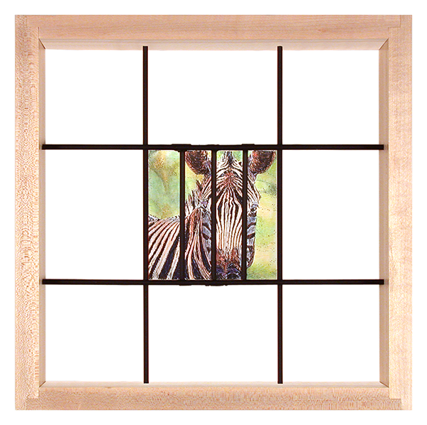 Zebra 496381 07