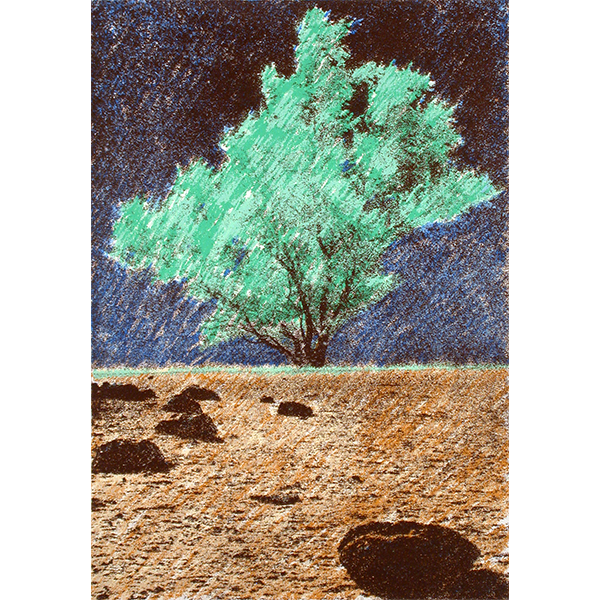 Wyoming Nebraska 91