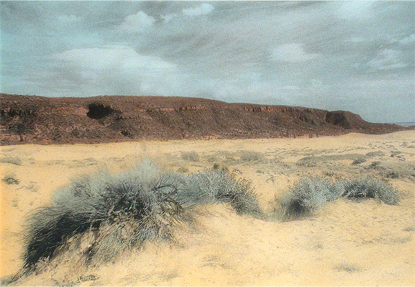 Painted Desert 1 92