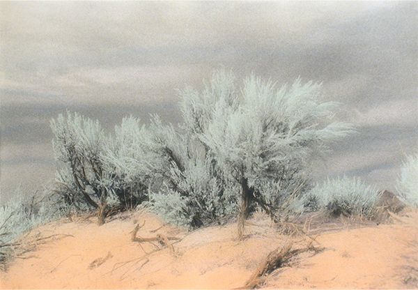 Painted Desert 2 92