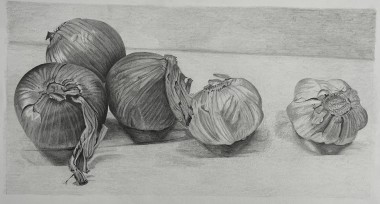 https://flanaganarts.com/assets/images/portfolio/julie_testimonial_Onion_Drawwing.jpg